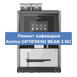 Замена | Ремонт термоблока на кофемашине Animo OPTIFRESH BEAN 2 NG в Перми